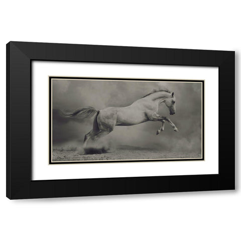 Parical Black Modern Wood Framed Art Print with Double Matting by Dashtrazmi, Hamze