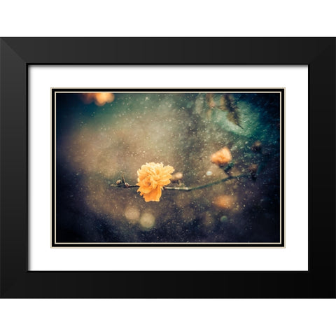 Spring Black Modern Wood Framed Art Print with Double Matting by Bernardino Coelho, Antonio