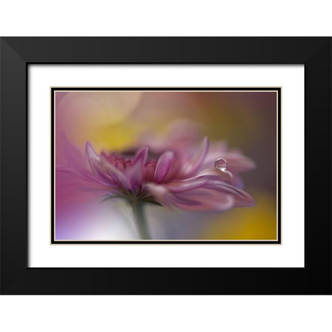 Beyond Words... Black Modern Wood Framed Art Print with Double Matting by Nan, Juliana