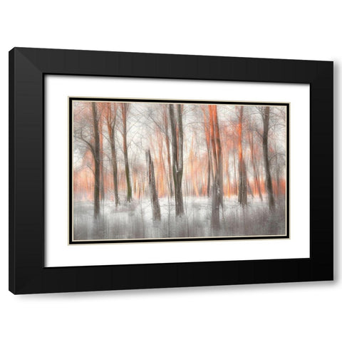 Evening Light Black Modern Wood Framed Art Print with Double Matting by Davidsson, Gustav