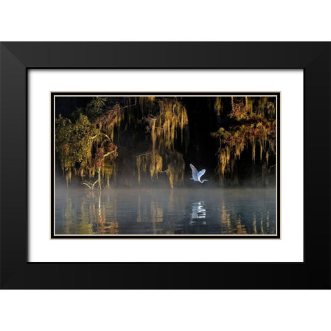 Egret Black Modern Wood Framed Art Print with Double Matting by Zhu, Hua