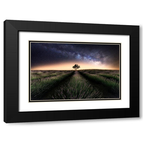 Lavender Way Black Modern Wood Framed Art Print with Double Matting by Ferrero, Ivan