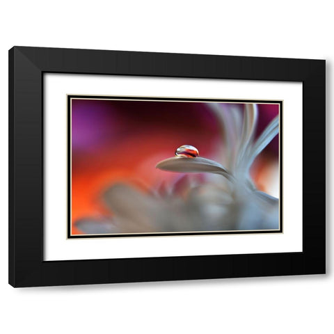 Happy Colors Black Modern Wood Framed Art Print with Double Matting by Westum, Heidi