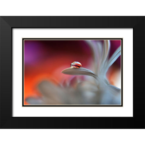 Happy Colors Black Modern Wood Framed Art Print with Double Matting by Westum, Heidi