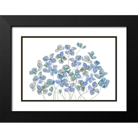 Hydrangea Black Modern Wood Framed Art Print with Double Matting by Disher, Mandy