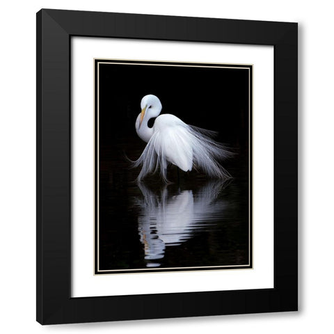 Watching Black Modern Wood Framed Art Print with Double Matting by Li, Ben