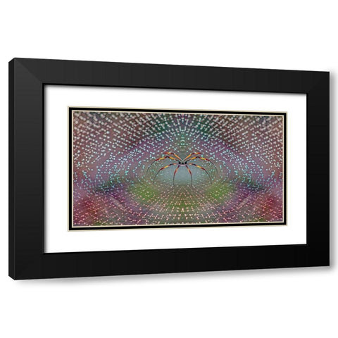 Spider Black Modern Wood Framed Art Print with Double Matting by Thomopoulos, Thomas