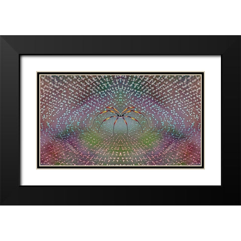 Spider Black Modern Wood Framed Art Print with Double Matting by Thomopoulos, Thomas