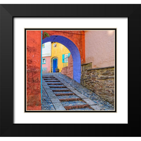 Portmerion Black Modern Wood Framed Art Print with Double Matting by Mendoza, Danny