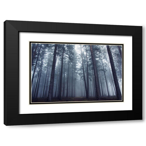 Mysterious Foggy Forest. Black Modern Wood Framed Art Print with Double Matting by Charouz, David