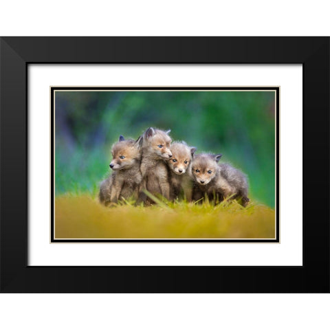 ... Little Explorers ... Black Modern Wood Framed Art Print with Double Matting by Gerec, Pali