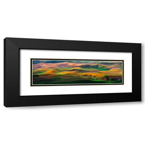 The Palouse Black Modern Wood Framed Art Print with Double Matting by Zhu, Hua