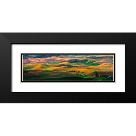 The Palouse Black Modern Wood Framed Art Print with Double Matting by Zhu, Hua