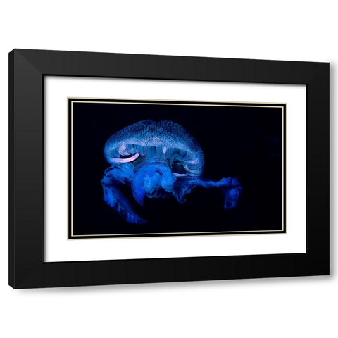 Pelagia Noctiluca 2 Black Modern Wood Framed Art Print with Double Matting by Molinari, Romano