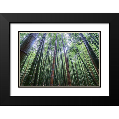 Tall Black Modern Wood Framed Art Print with Double Matting by Wrobel, Karsten