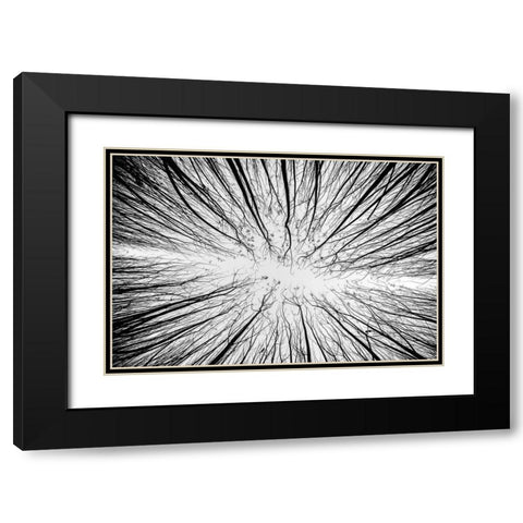 Up To The Sky Black Modern Wood Framed Art Print with Double Matting by Denisvesely