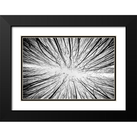 Up To The Sky Black Modern Wood Framed Art Print with Double Matting by Denisvesely