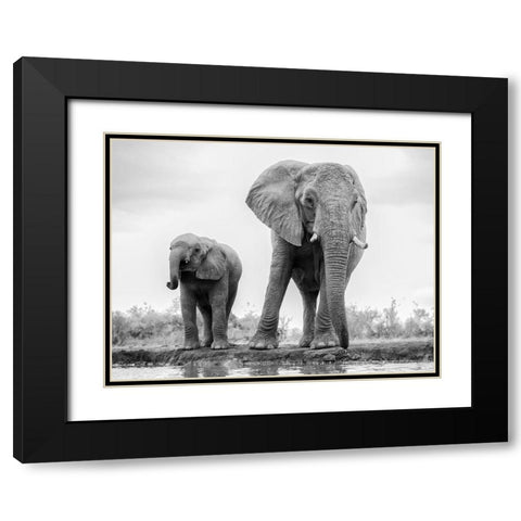 Duo Black Modern Wood Framed Art Print with Double Matting by Marx, Jaco