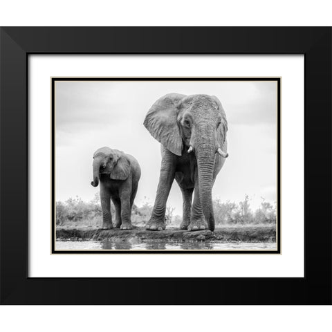Duo Black Modern Wood Framed Art Print with Double Matting by Marx, Jaco
