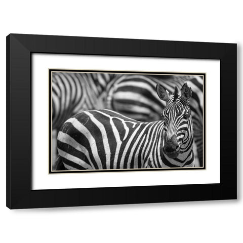Stripes Black Modern Wood Framed Art Print with Double Matting by Catta, Alessandro