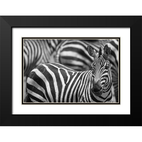 Stripes Black Modern Wood Framed Art Print with Double Matting by Catta, Alessandro