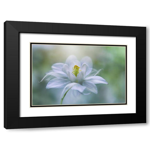 Purity Black Modern Wood Framed Art Print with Double Matting by Parker, Jacky