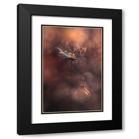 Pyrotechnics Black Modern Wood Framed Art Print with Double Matting by Bravin, Fabien