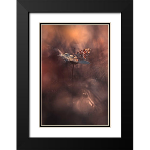 Pyrotechnics Black Modern Wood Framed Art Print with Double Matting by Bravin, Fabien