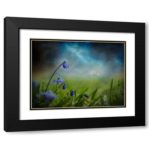 After The Spring Rain Black Modern Wood Framed Art Print with Double Matting by Kvarnstrom, Asmund