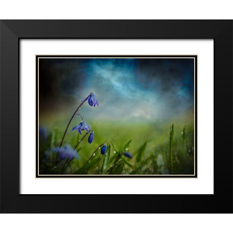After The Spring Rain Black Modern Wood Framed Art Print with Double Matting by Kvarnstrom, Asmund