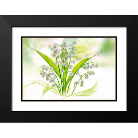 Lily Of The Valley Black Modern Wood Framed Art Print with Double Matting by Parker, Jacky