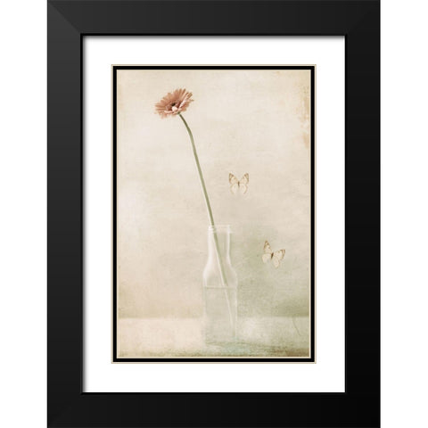 Miss Daisy Black Modern Wood Framed Art Print with Double Matting by Devos, Delphine