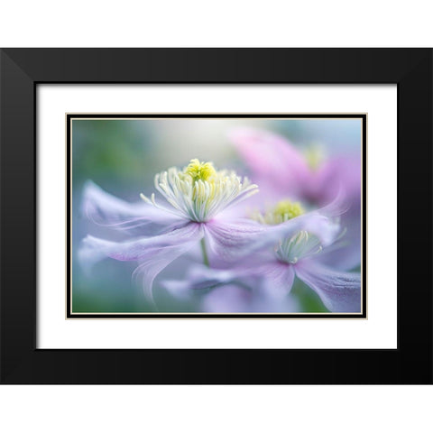 Sway Black Modern Wood Framed Art Print with Double Matting by Parker, Jacky