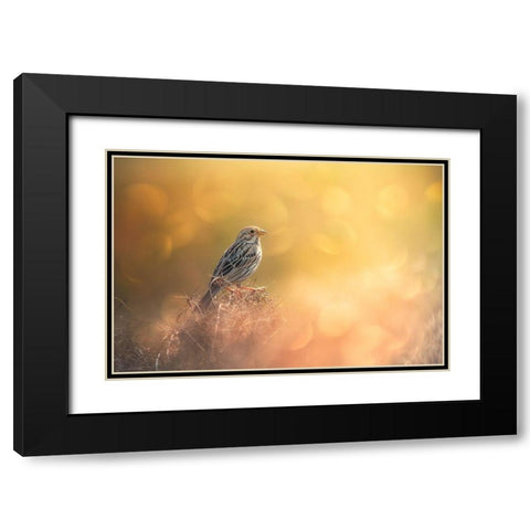 Lost In Bokeh Black Modern Wood Framed Art Print with Double Matting by Pezeshki, Sina