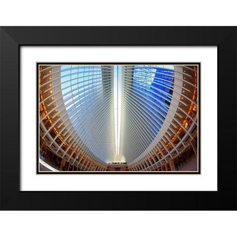 Oculus Black Modern Wood Framed Art Print with Double Matting by Fleckenstein, Martin