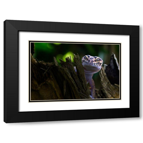 Cute Smile Black Modern Wood Framed Art Print with Double Matting by Maududdin, Fauzan