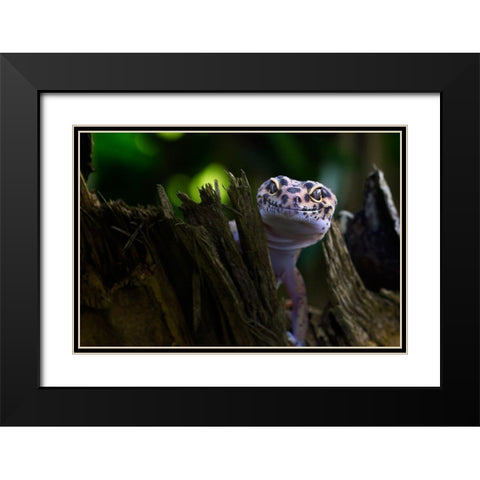 Cute Smile Black Modern Wood Framed Art Print with Double Matting by Maududdin, Fauzan