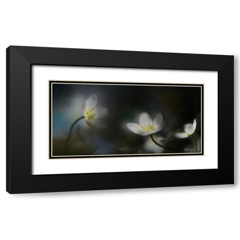 Light In The Darkness Black Modern Wood Framed Art Print with Double Matting by Westum, Heidi