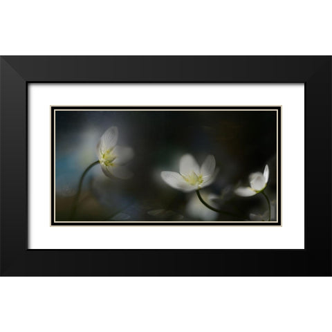 Light In The Darkness Black Modern Wood Framed Art Print with Double Matting by Westum, Heidi