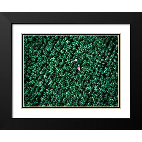 Sheer Purity Black Modern Wood Framed Art Print with Double Matting by Chengzhou, Zhou