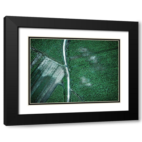 Pure Green Black Modern Wood Framed Art Print with Double Matting by Chengzhou, Zhou