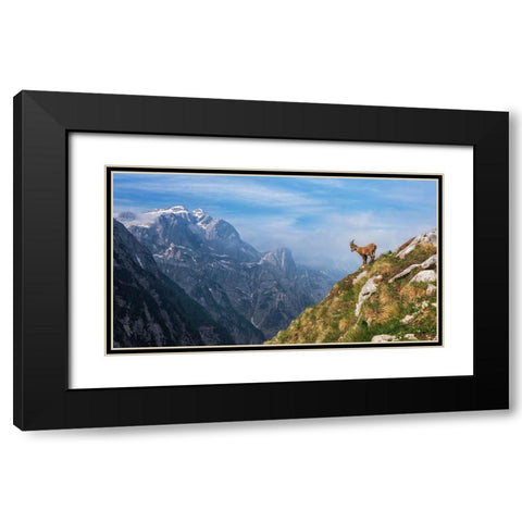 Alpine Ibex In The Mountains Black Modern Wood Framed Art Print with Double Matting by Krivec, Ales