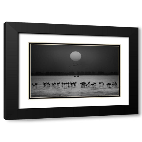 At A Glance Black Modern Wood Framed Art Print with Double Matting by Thabet, Ahmed