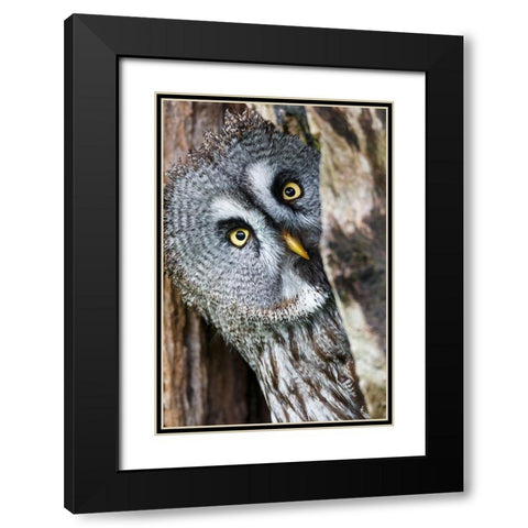 Whos There Black Modern Wood Framed Art Print with Double Matting by Concepcion Alvarado, Jesus