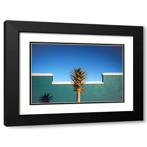 The Desert Blooms Black Modern Wood Framed Art Print with Double Matting by Wride, Linda