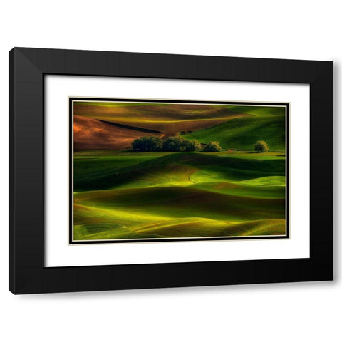 Spring In The Palouse Black Modern Wood Framed Art Print with Double Matting by Jacobs, Lydia
