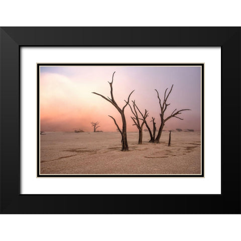 Fog In Deadvlei Black Modern Wood Framed Art Print with Double Matting by Damico, Giuseppe