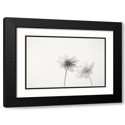Two Small Flowers Black Modern Wood Framed Art Print with Double Matting by Gronkjar, Lotte