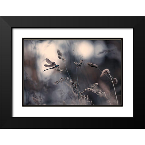 Le Vent Lemportera Black Modern Wood Framed Art Print with Double Matting by Bravin, Fabien