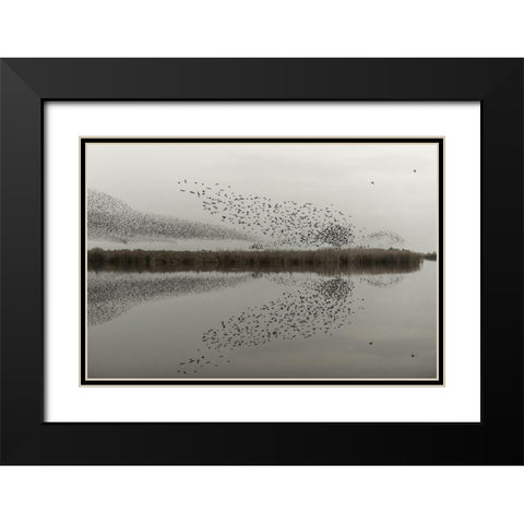 The Presence Black Modern Wood Framed Art Print with Double Matting by Forner Rodriguez, Joaquin